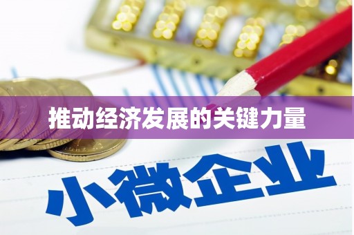 大村推动经济发展的关键力量